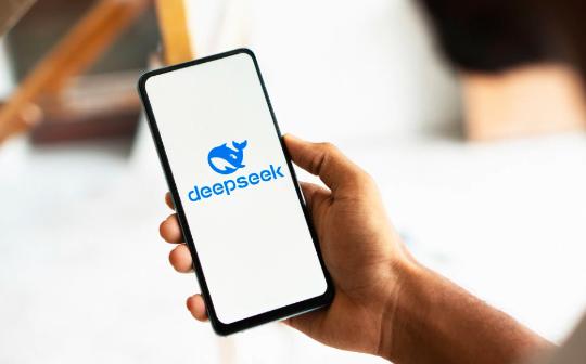 为什么中国只有一个 DeepSeek？