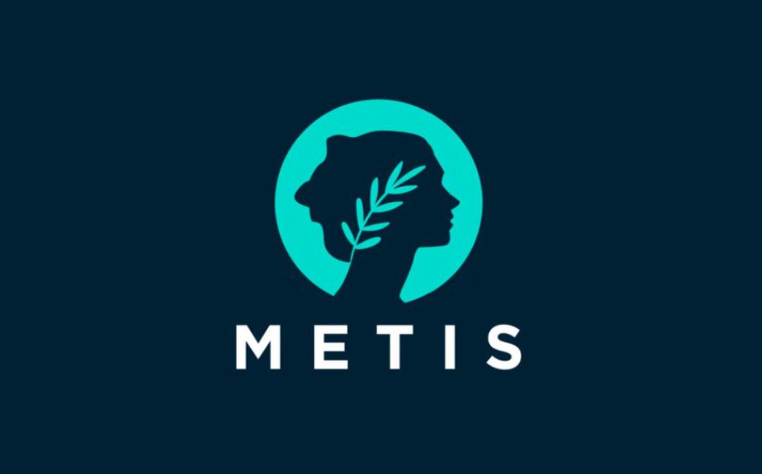 Metis 要 All in AI 能否破解当前 L2 困局？