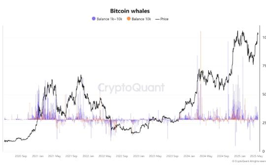 现货比特币ETF流入量下降 但BTC鲸鱼活动预示牛市加速