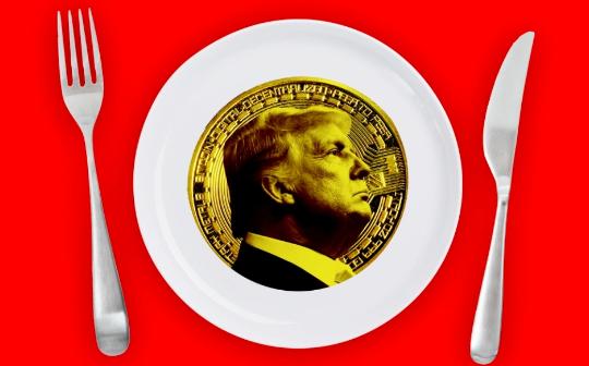 <b>特朗普加密晚宴：人均花费超百万美元 七成参与者竟不是美国人？</b>