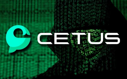 <b>解读技术大佬对Cetus Protocol黑客攻击事件的分析</b>